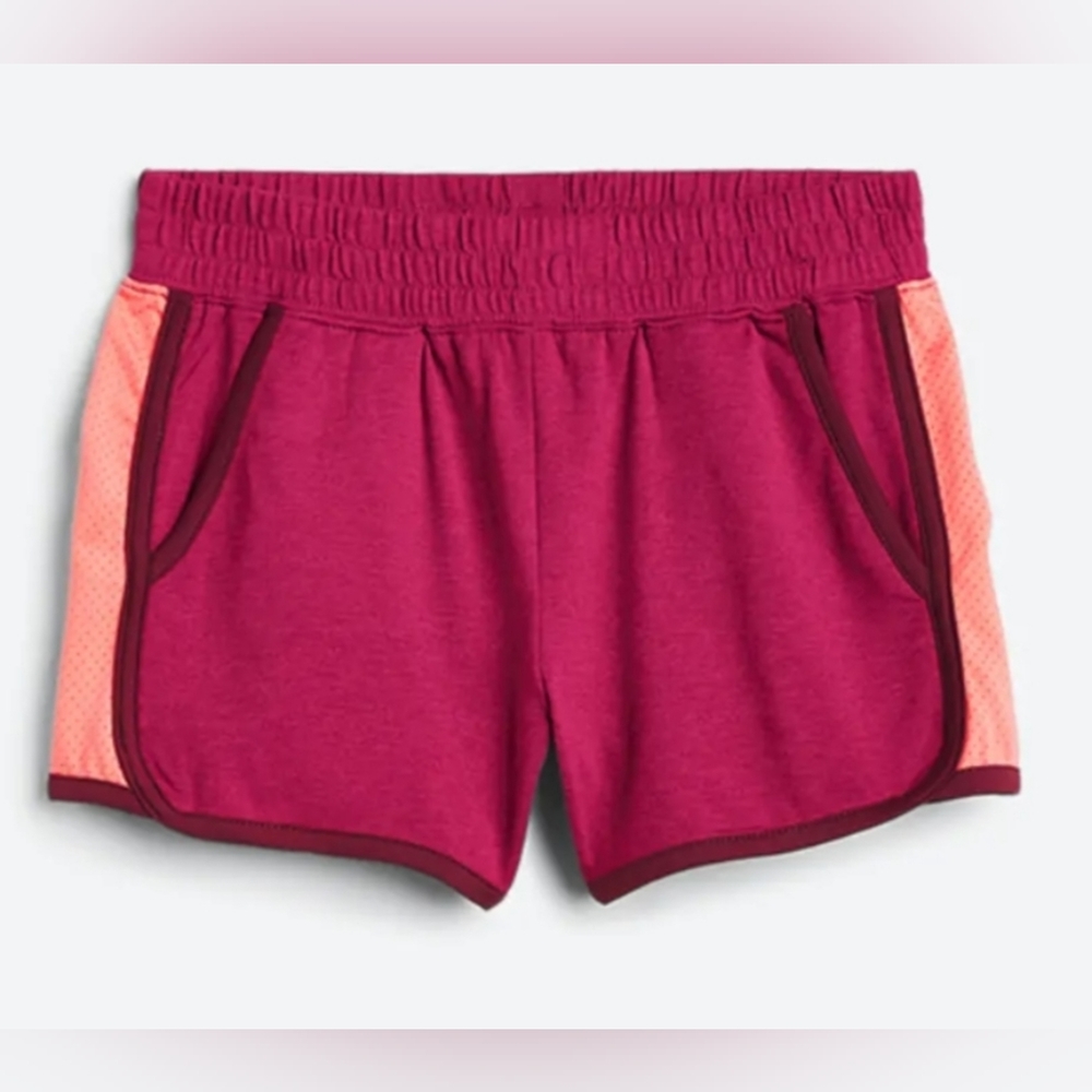 RUNWAY The Active Mesh Dolphin